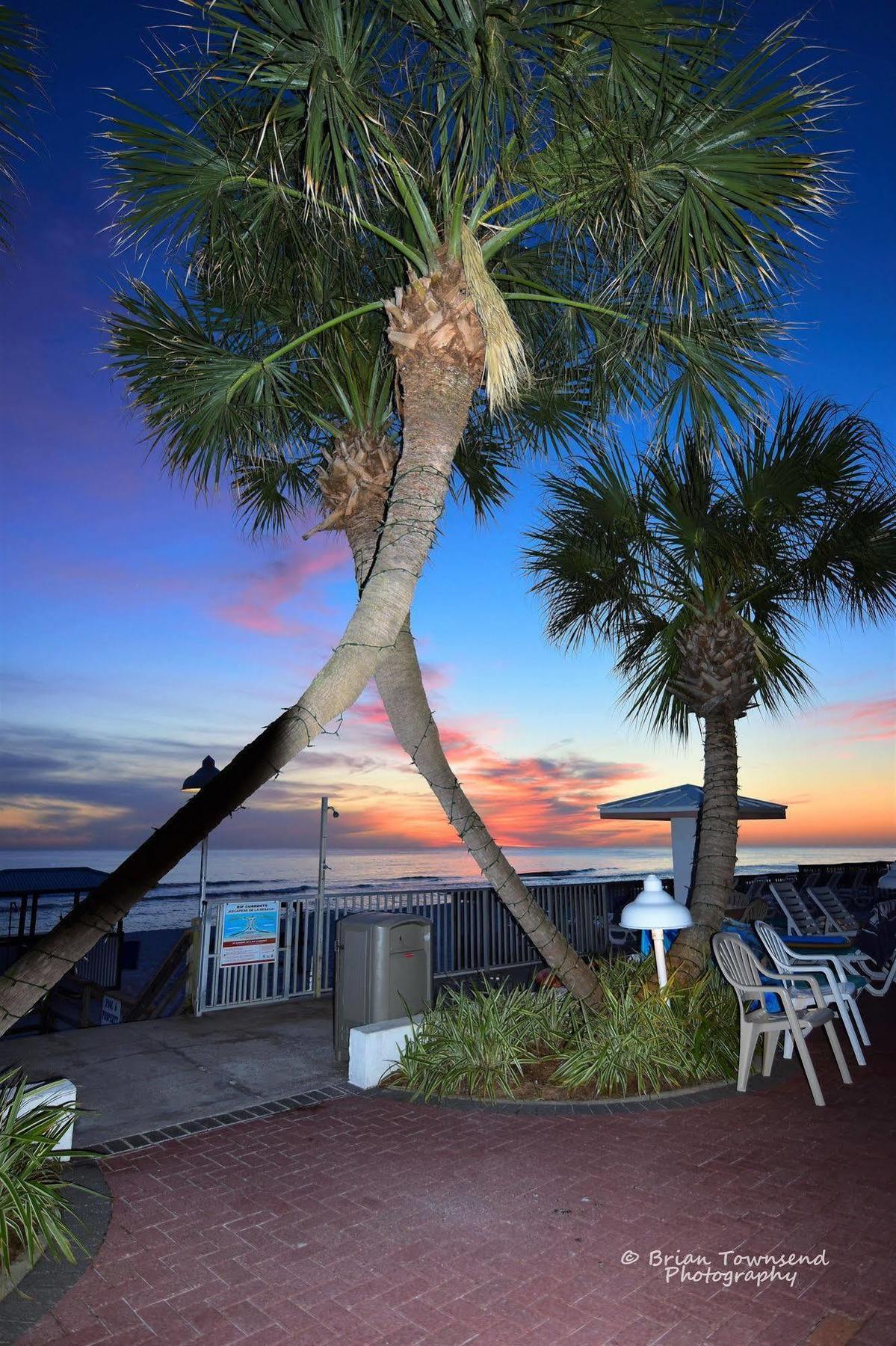 Palmetto Inn & Suites On The Beach Panama City Exterior foto